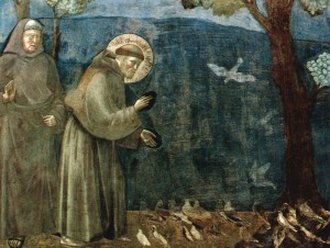 giotto-preaching-to-birds