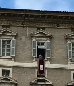 IMG_0208